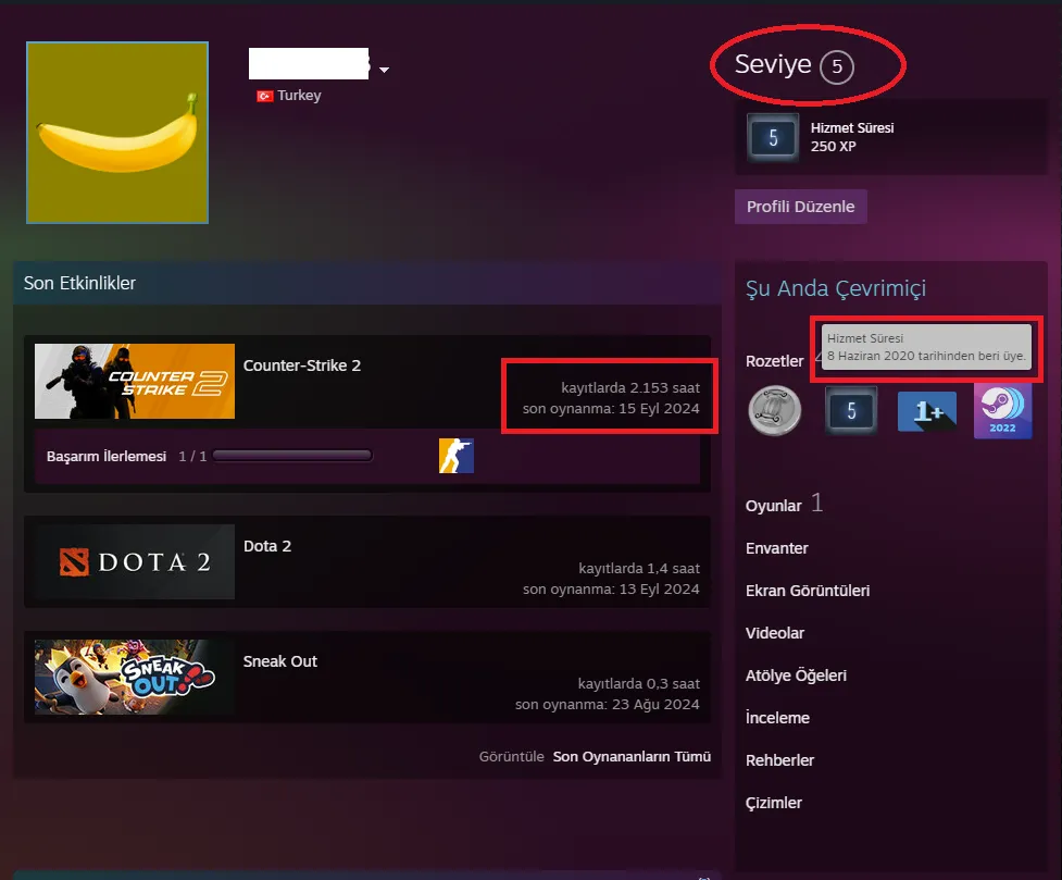 Ekran Görüntüsü 2 - ANINDA TESLİM | 9 MADALYA | 2153 SAAT | FACEIT