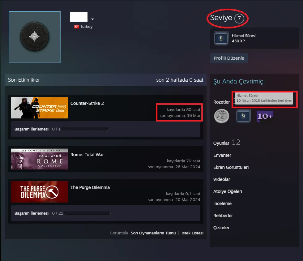 Ekran Görüntüsü 2 - ANINDA TESLİM | 3 MADALYA | 40 SAAT | FACEIT