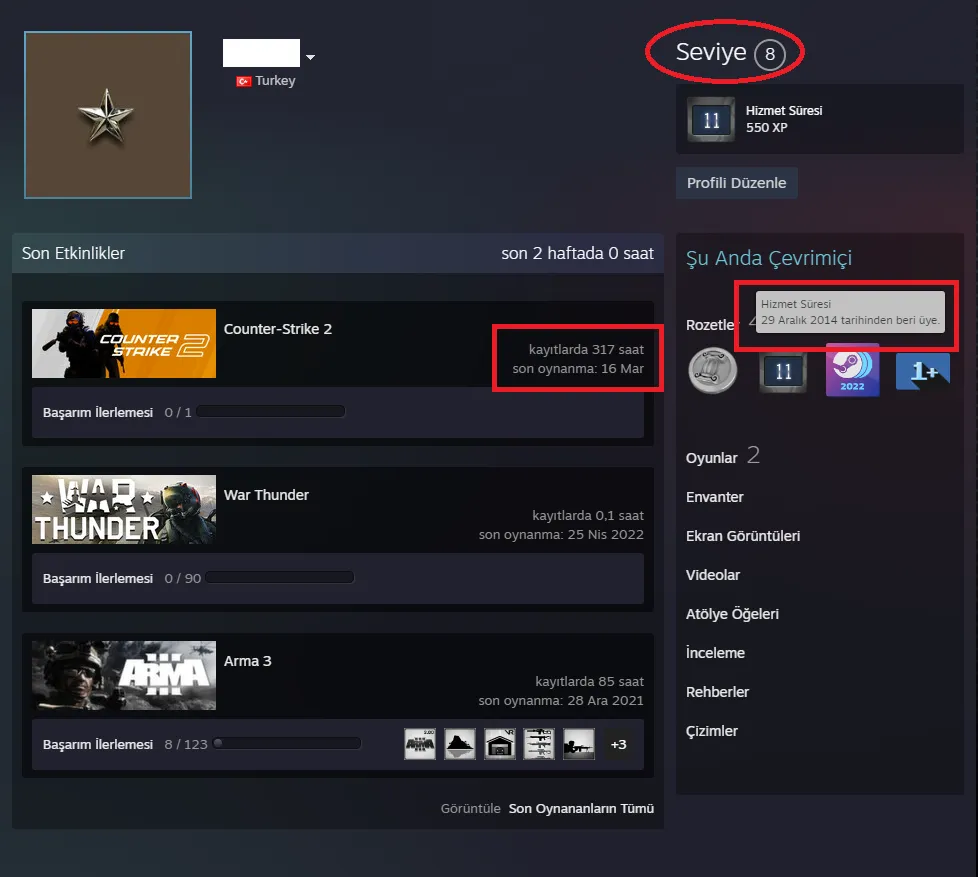 Ekran Görüntüsü 2 - ANINDA TESLİM | 6 MADALYA | 317 SAAT | FACEIT