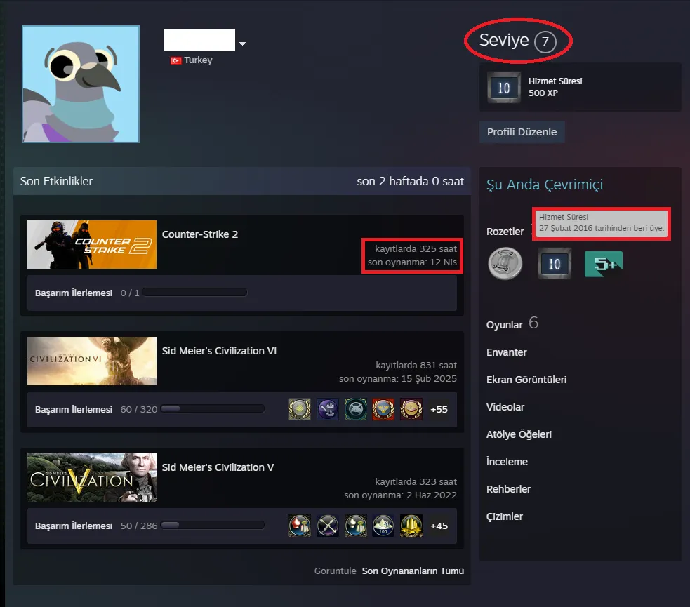 Ekran Görüntüsü 2 - ANINDA TESLİM | 5 MADALYA | 325 SAAT | FACEIT