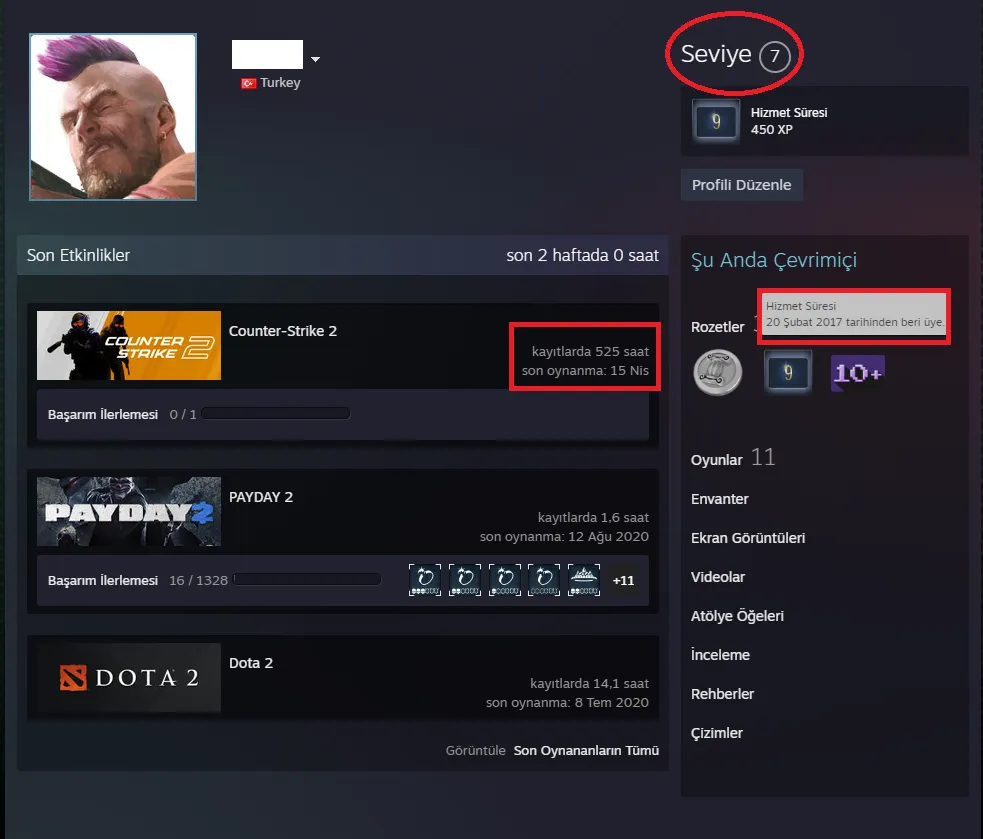 Ekran Görüntüsü 2 - ANINDA TESLİM | 5 MADALYA | 525 SAAT | FACEIT