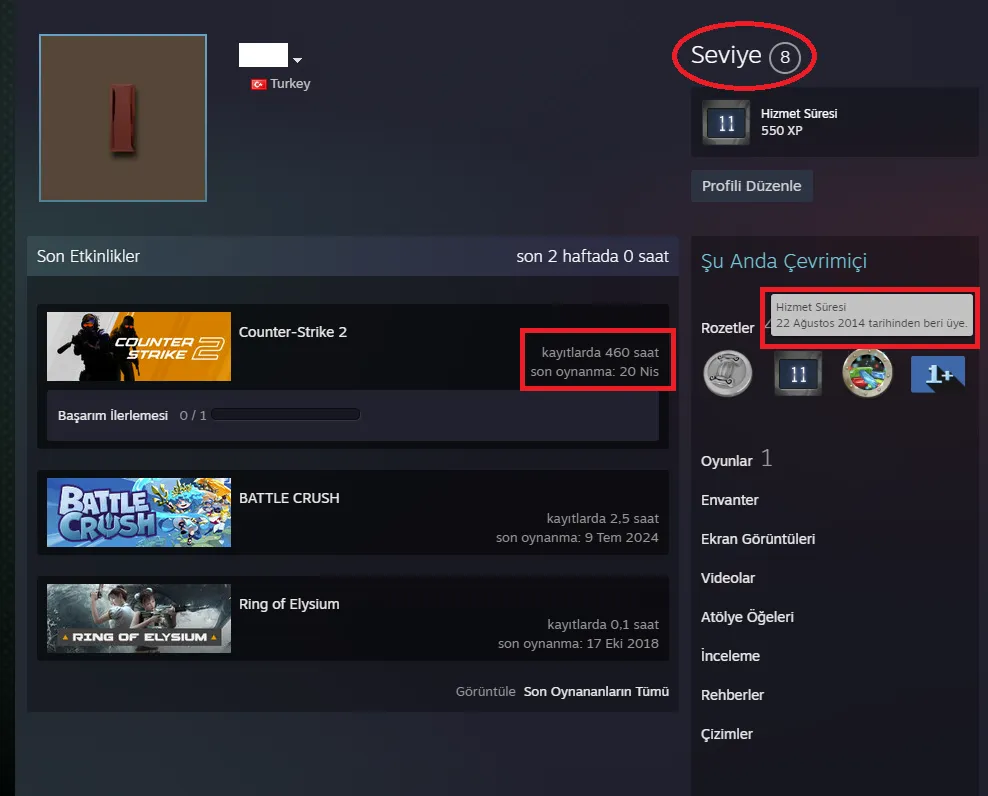 Ekran Görüntüsü 2 - ANINDA TESLİM | 6 MADALYA | 460 SAAT | FACEIT