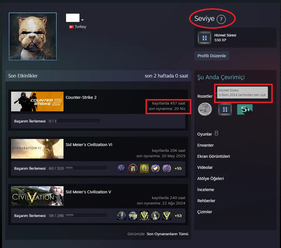 Ekran Görüntüsü 2 - ANINDA TESLİM | 6 MADALYA | 457 SAAT | FACEIT