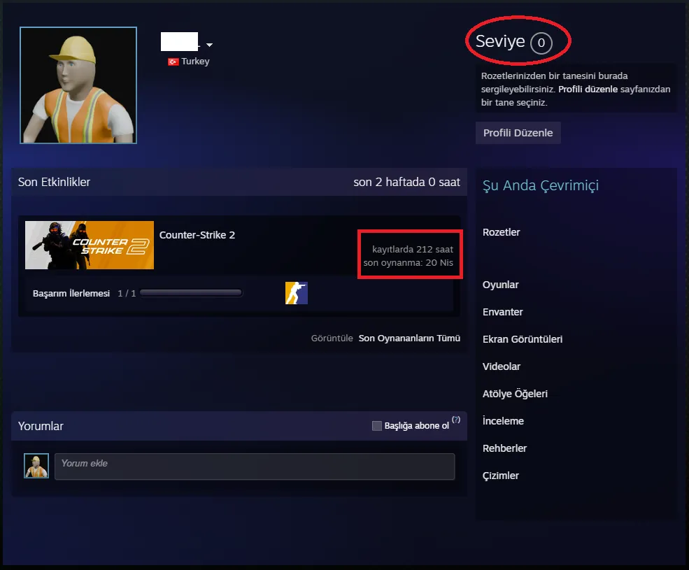 Ekran Görüntüsü 2 - TR ANINDA TESLİM | 3 MADALYA | 212 SAAT | FACET