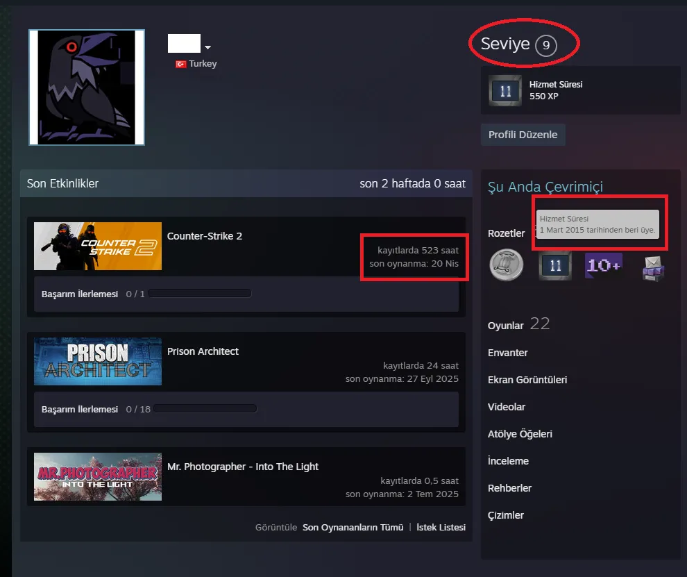 Ekran Görüntüsü 2 - TR ANINDA TESLİM | 5 MADALYA | 523 SAAT | FACET
