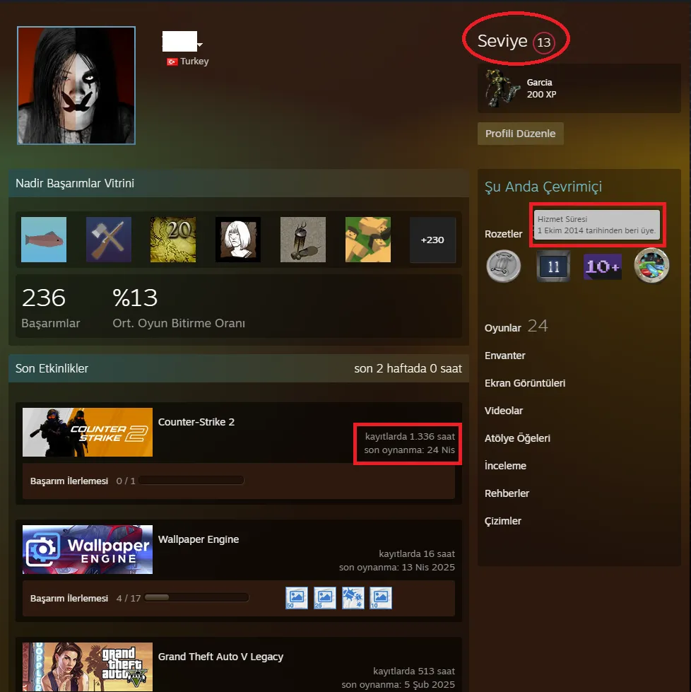 Ekran Görüntüsü 2 - ANINDA TESLİM | 11 MADALYA | 1336 SAAT | FACEIT