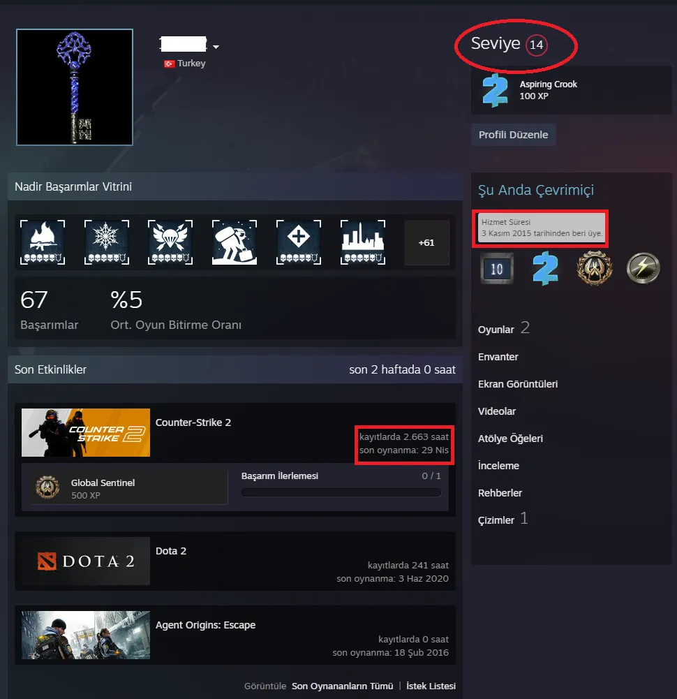 Ekran Görüntüsü 2 - ANINDA TESLİM | 8 MADALYA | 2663 SAAT | FACEIT