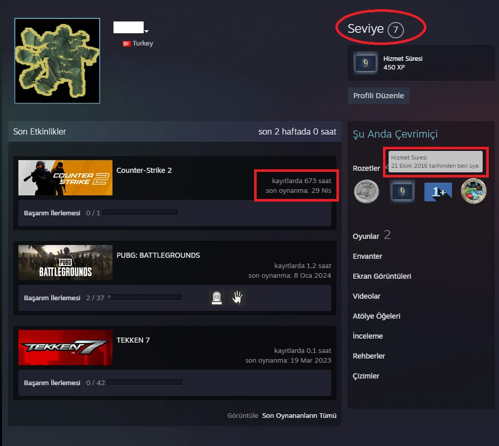 Ekran Görüntüsü 2 - TR ANINDA TESLİM | 5 MADALYA | 673 SAAT | FACET