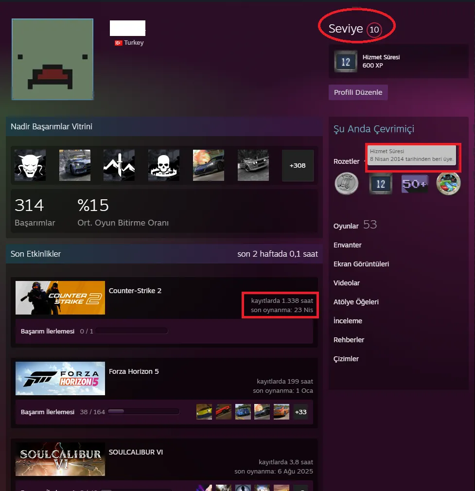 Ekran Görüntüsü 3 - ANINDA TESLİM | 10 MADALYA | 1338 SAAT | FACEIT