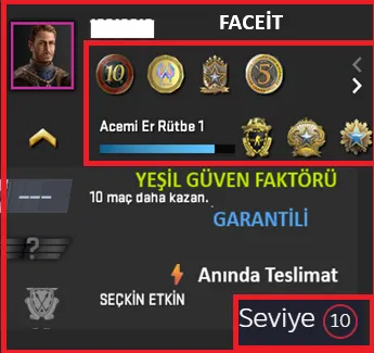 ANINDA TESLİM | 8 MADALYA | 1289 SAAT | FACEIT satın al
