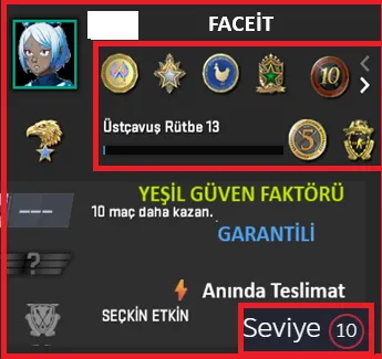 CS2 Prime Hesap Satın Al - ANINDA TESLİM | 8 MADALYA | 617 SAAT | FACEIT