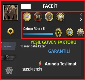 CS2 Prime Hesap Satın Al - ANINDA TESLİM | 8 MADALYA | 905 SAAT | FACEIT