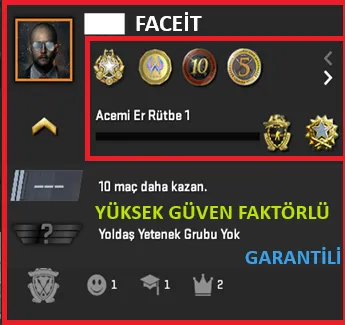 CS2 Prime Hesap Satın Al - ANINDA TESLİM | 6 MADALYA | 488 SAAT | FACEIT