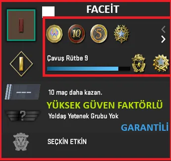 CS2 Prime Hesap Satın Al - ANINDA TESLİM | 6 MADALYA | 460 SAAT | FACEIT