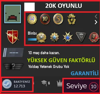 ANINDA TESLİM | 10 MADALYA | 1338 SAAT | FACEIT satın al