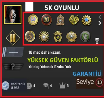 ANINDA TESLİM | 11 MADALYA | 1336 SAAT | FACEIT satın al