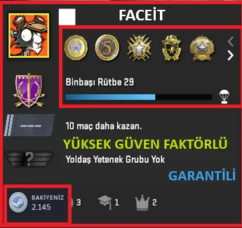 ANINDA TESLİM | 5 MADALYA | 743 SAAT | FACEIT satın al