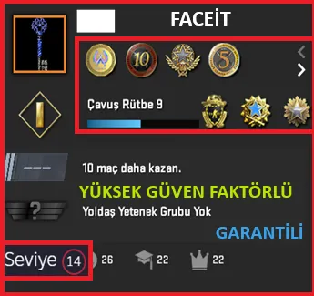 ANINDA TESLİM | 8 MADALYA | 2663 SAAT | FACEIT satın al