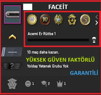 ANINDA TESLİM | 5 MADALYA | 643 SAAT | FACEIT satın al