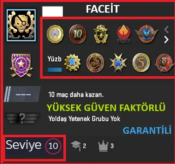 ANINDA TESLİM | 11 MADALYA | 1553 SAAT | FACEIT satın al