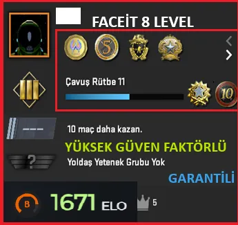 CS2 Prime Hesap Satın Al - FACEİT 8 LEVEL | 6 MADALYA | 1738 SAAT