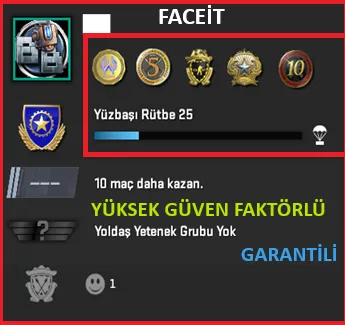 CS2 Prime Hesap Satın Al - ANINDA TESLİM | 5 MADALYA | 285 SAAT | FACEIT