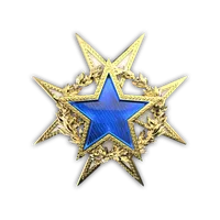 2015 Hizmet Madalyası