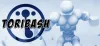 Toribash Oyunu