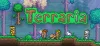 Terraria Oyunu