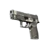 P250 | Re.built (Görevde Kullanılmış)