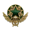 2021 Hizmet Madalyası
